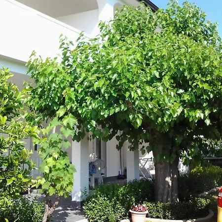 S&m Apartament *