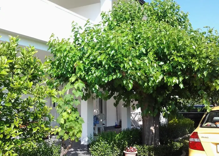 S&m Apartmán *